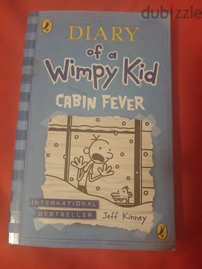 DIARY OF WIMPY KIDS (cabin fever)