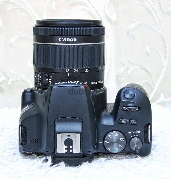 كانون 250D بلينس 55-18 STM  شتر 500 صورة فقط بالبوكس CANON 250D 8