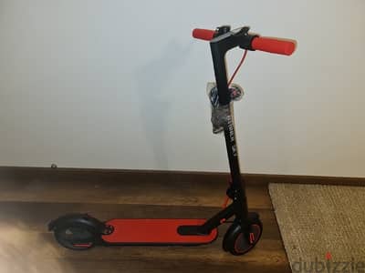 winner sky electric scooter