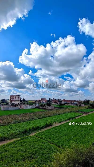 مزرعه للبيع 28 فدان مسجله وبها جميع المرافق