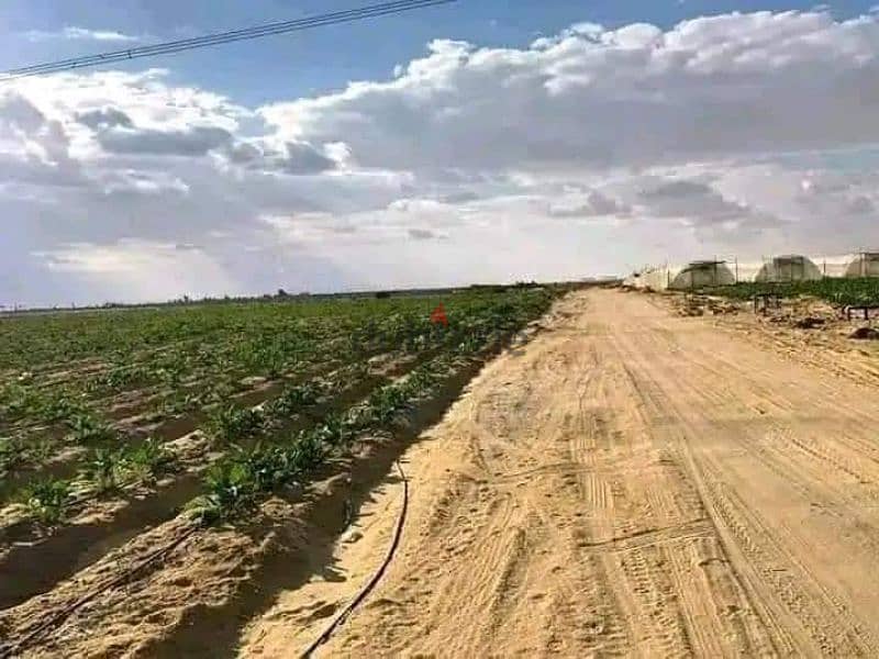 مزرعه للبيع 28 فدان مسجله وبها جميع المرافق 8