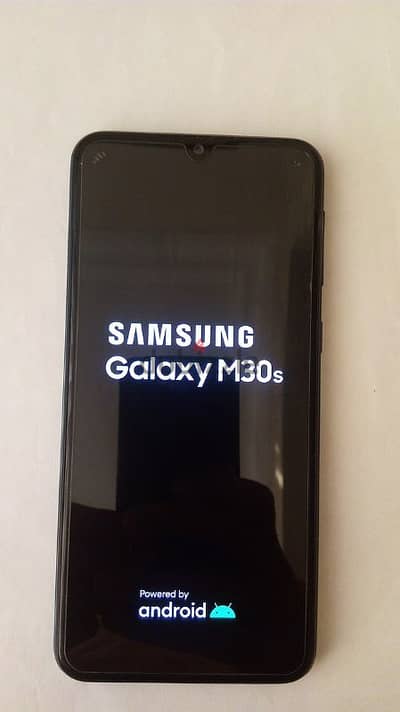 samsung m30s