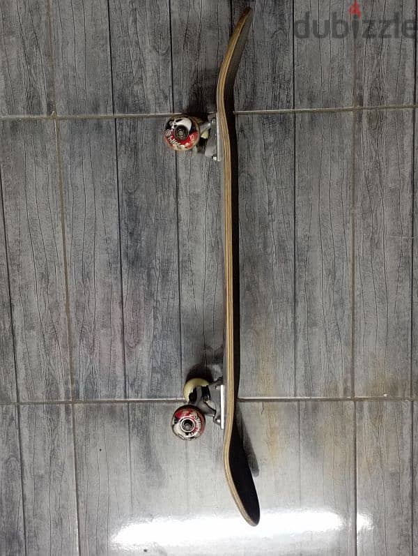 Skateboard 1