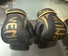 VENUM Kickboxing Gloves 0