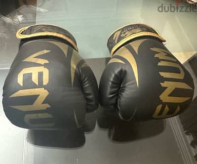 VENUM Kickboxing Gloves