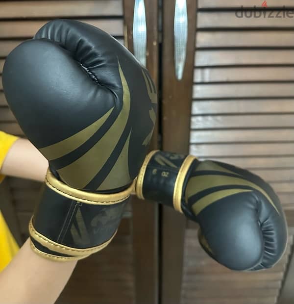 VENUM Kickboxing Gloves 1