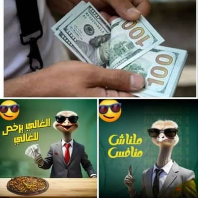 لو عايز تفتح مشروع وتكون صاحب بيزنس خاص بيك كلمنا