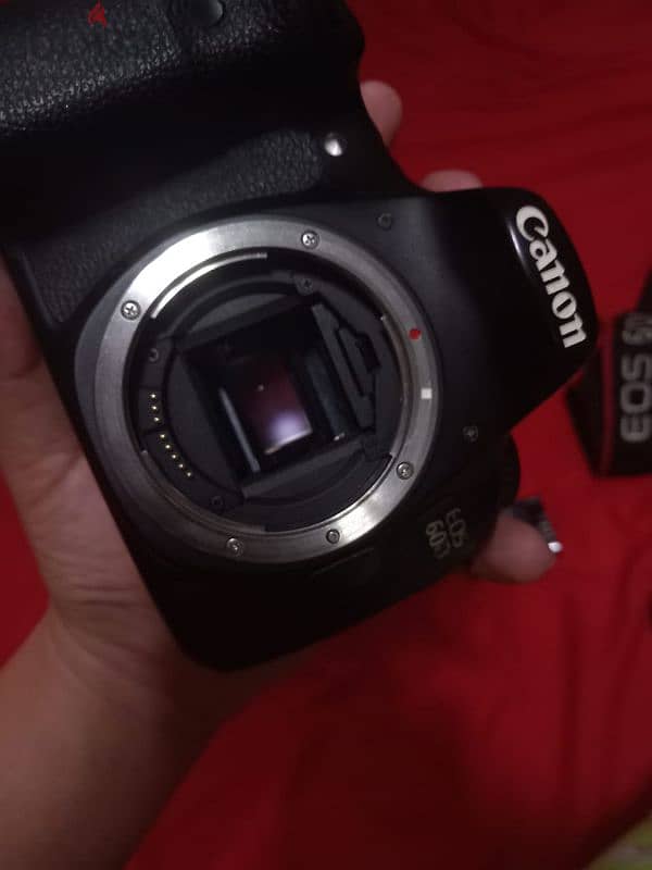 canon60D 8