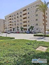 دوبلكس 276م 6غرف بسعر لقطة وبأقل مقدم للبيع هايد بارك Hyde Park التجمع 5