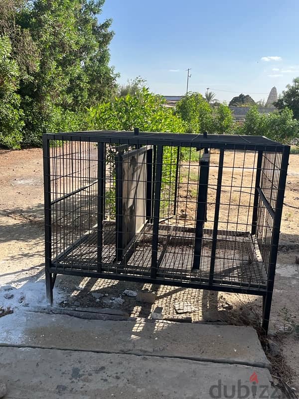 Dog steel crates for sale 1