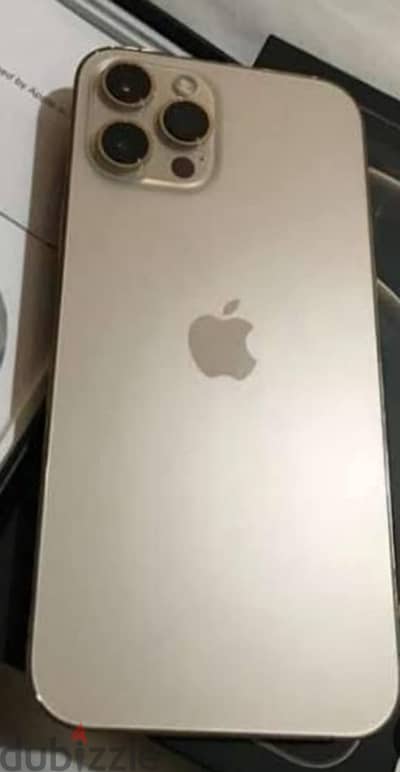 iPhone 12 pro max