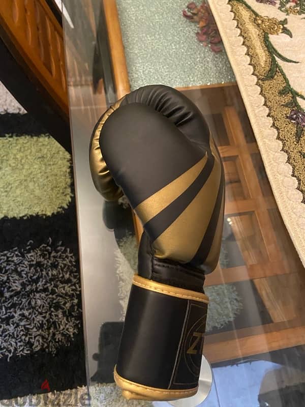 boxing gloves ztty perfect condition size 12 1