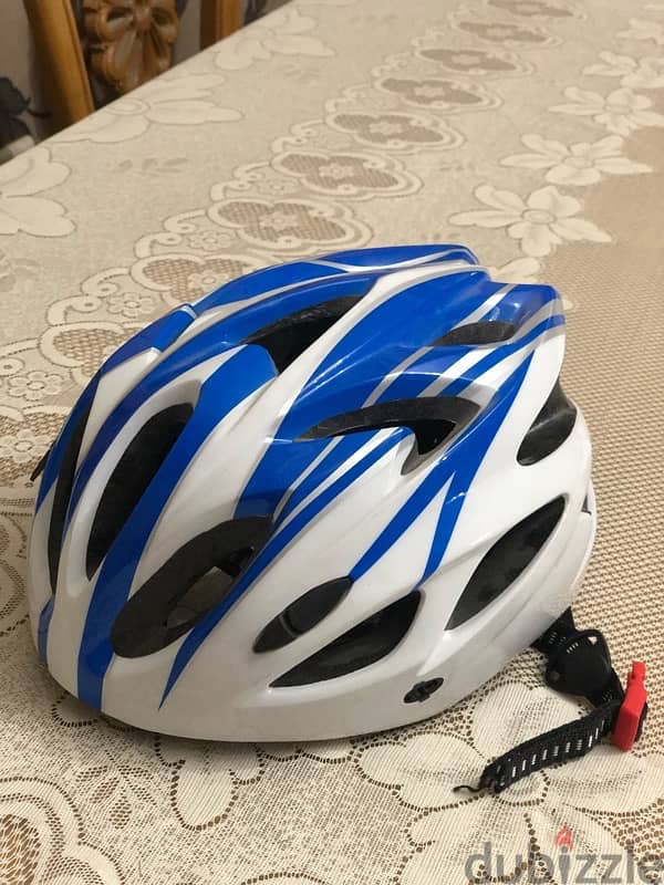 bicycle helmet 1