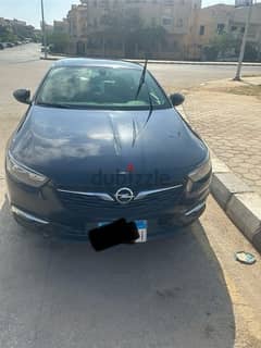 Opel Insignia 2019 0