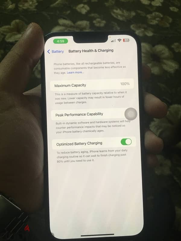 Iphone 13 Pro Max 100% 2