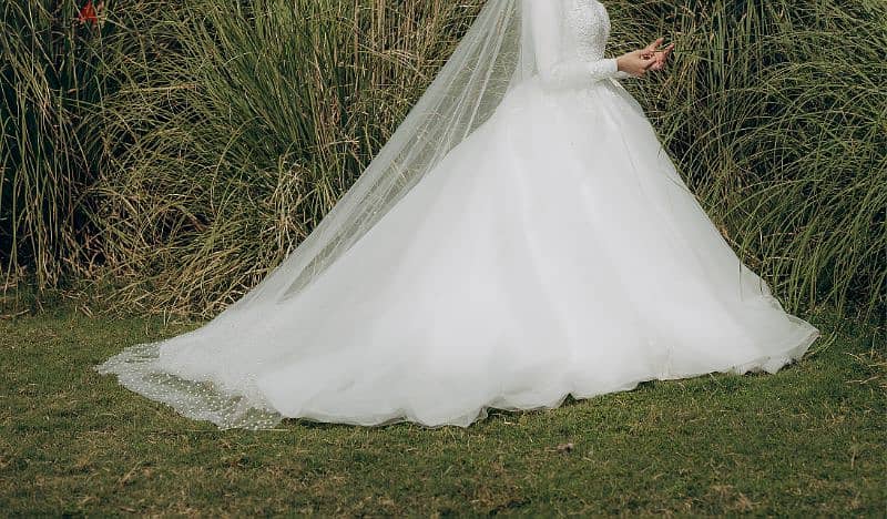 Wedding Dress with Veil and Shoes 2