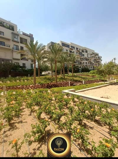 Apartment with a green view in El Shorouk - immediate delivery with interest-free payment over 6 years.