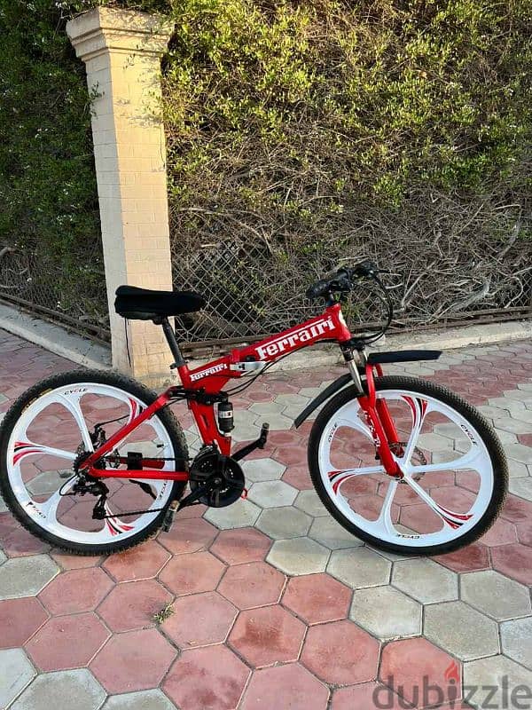 Ferrari Foldable Cycle 1