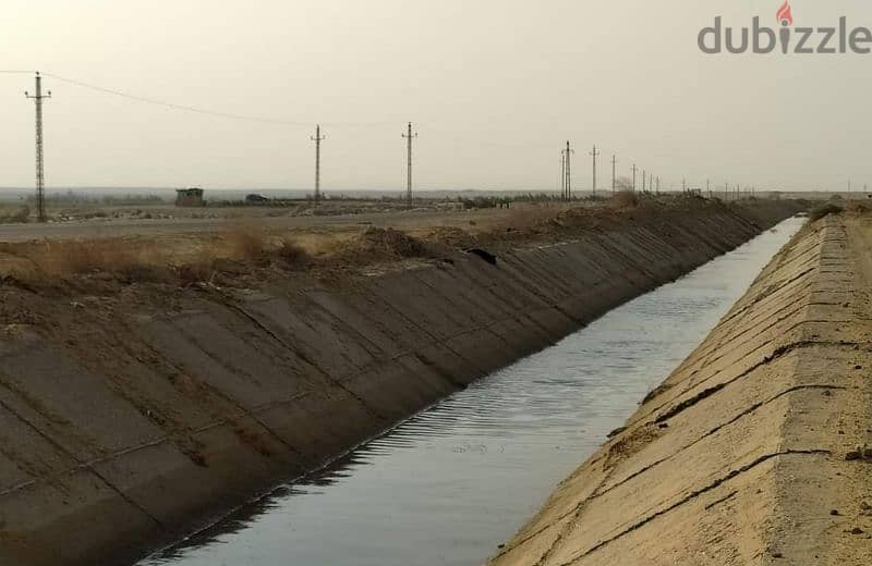 ارض ٢ فدان للبيع بالفيوم كوم اوشيم 1