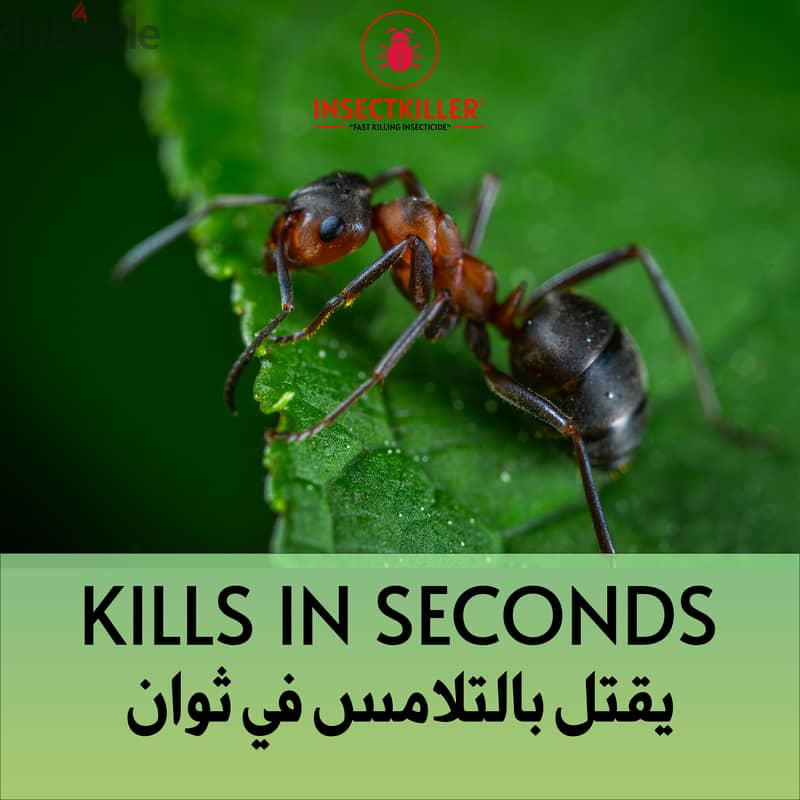 INSECTKILLER Fast Killing Insecticide | انسيت كيلار مبيد حشرات زاحفة 1