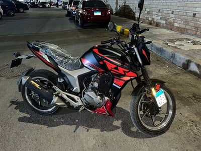 هوجن z250