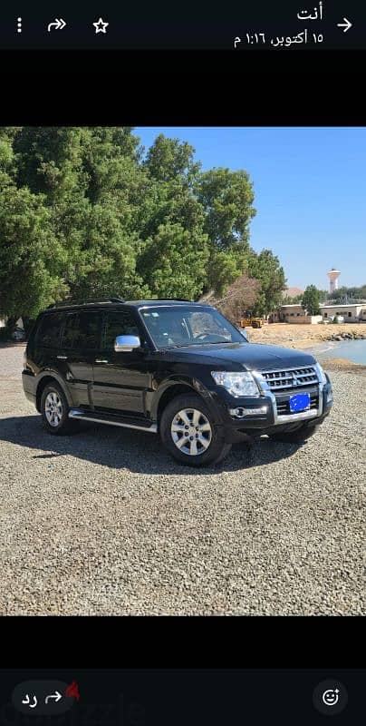 Mitsubishi Pajero 2018 8