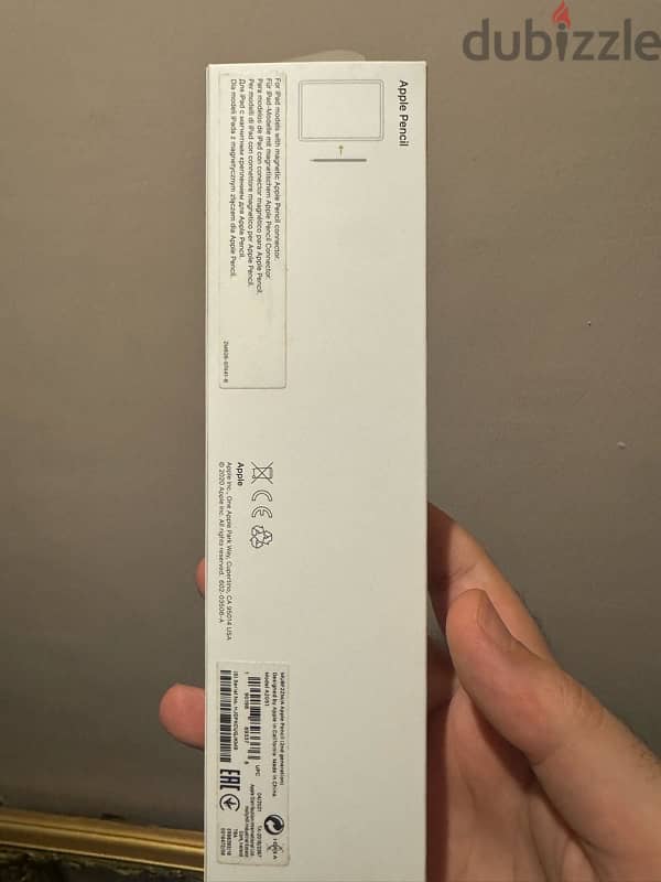 iPad 12.9 inches 1 TB wifi+cellular 2