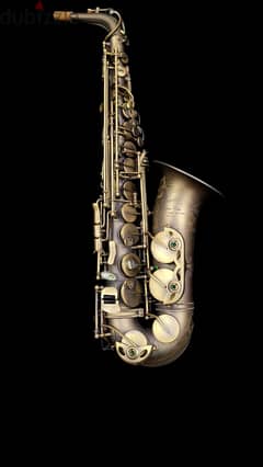 P Mauriat Alto Professional saxophone ساكسفون ألتو بروفيشنال 0