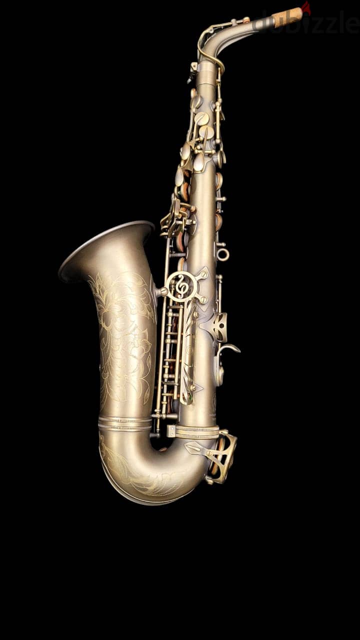 P Mauriat Alto Professional saxophone ساكسفون ألتو بروفيشنال 1