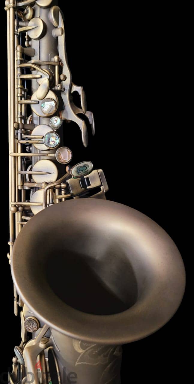 P Mauriat Alto Professional saxophone ساكسفون ألتو بروفيشنال 7