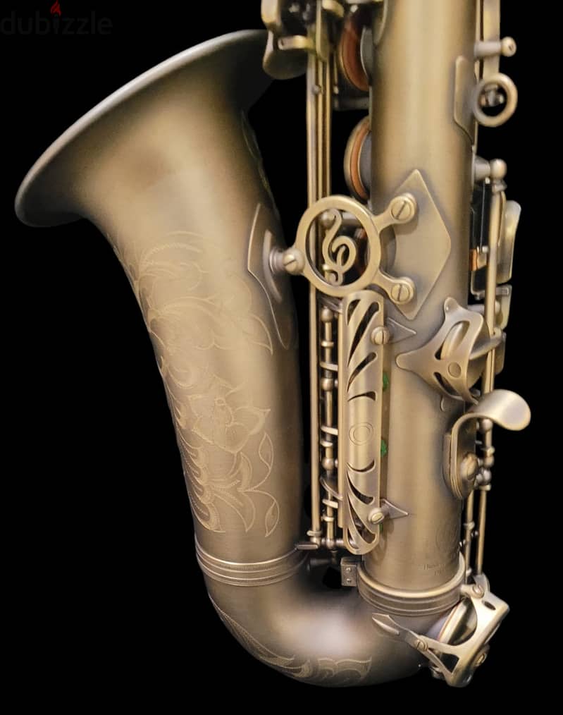 P Mauriat Alto Professional saxophone ساكسفون ألتو بروفيشنال 15