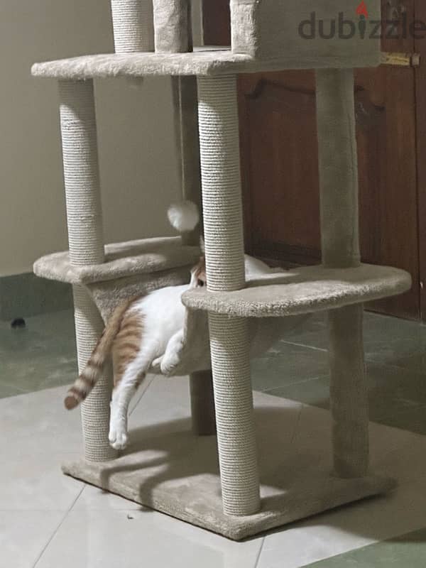 cat tree 2