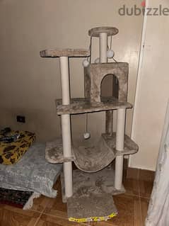 cat tree 0