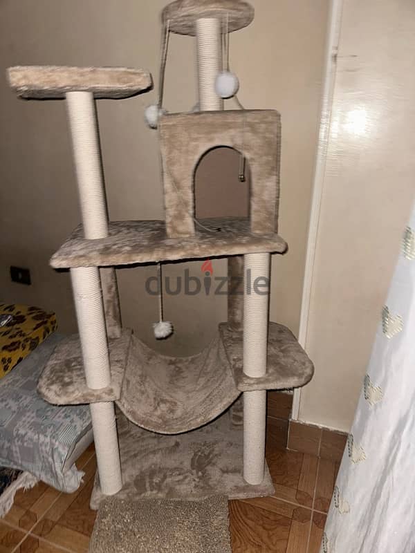 cat tree 3