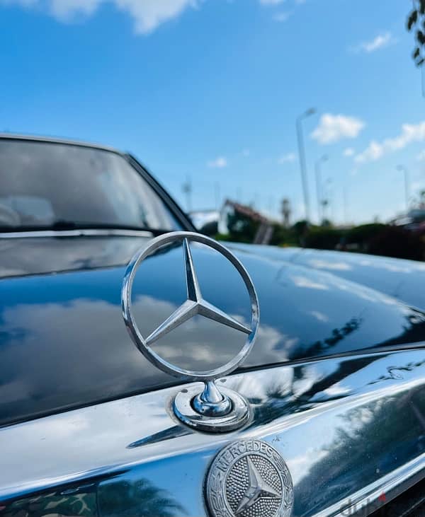 Mercedes-Benz 230 1979 0