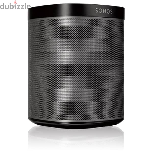 Sonos speaker play 1 1