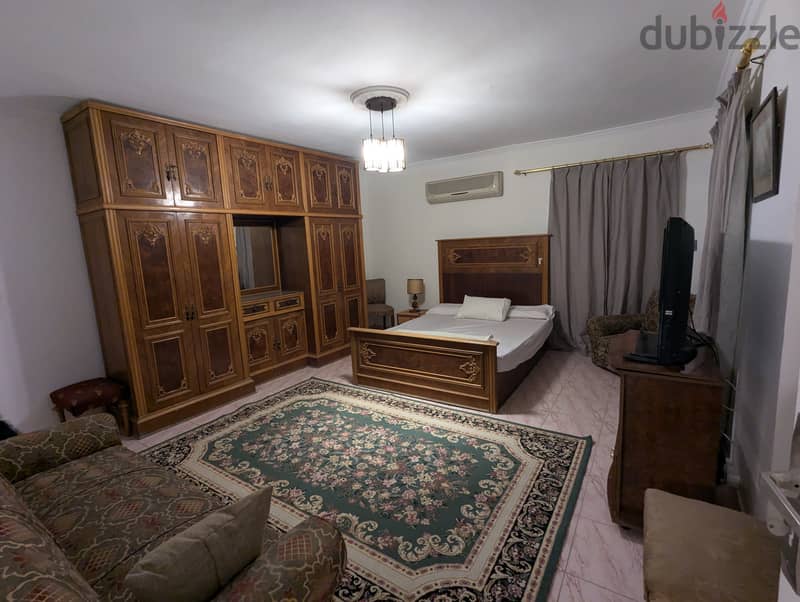 Luxury furnished Apartment for rent in Nasr City 14