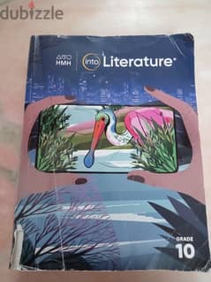 into literature book 0