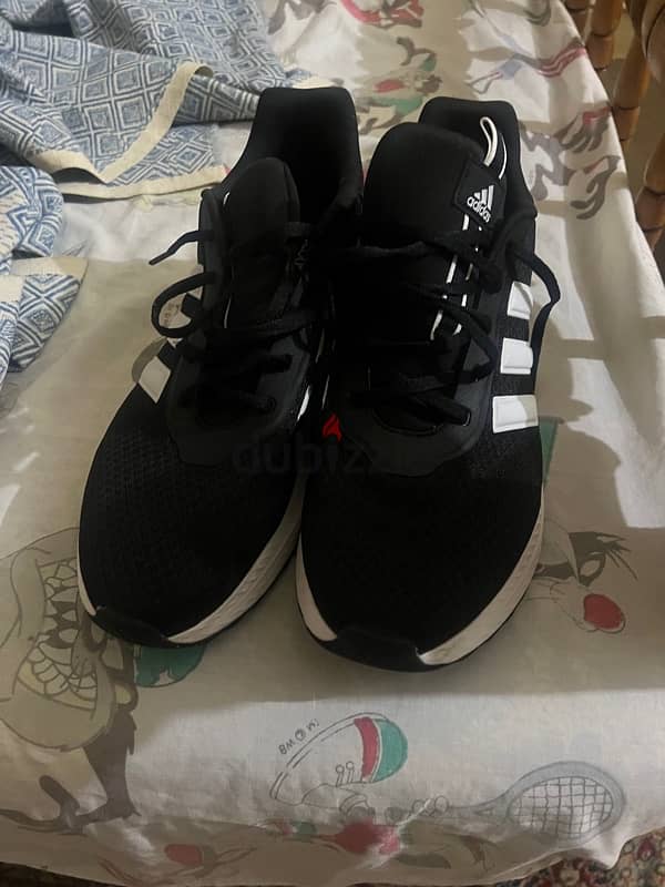 adidas original وارد امريكا 4