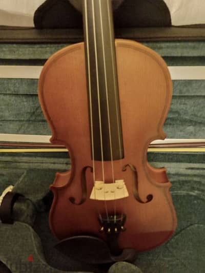 violin