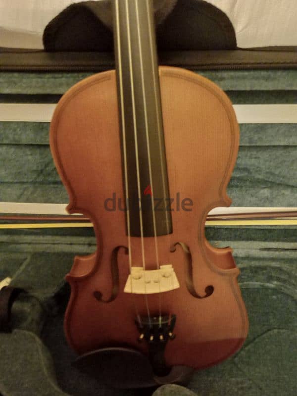 violin shalter New 1