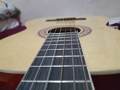 Chard EC-3900 guitar