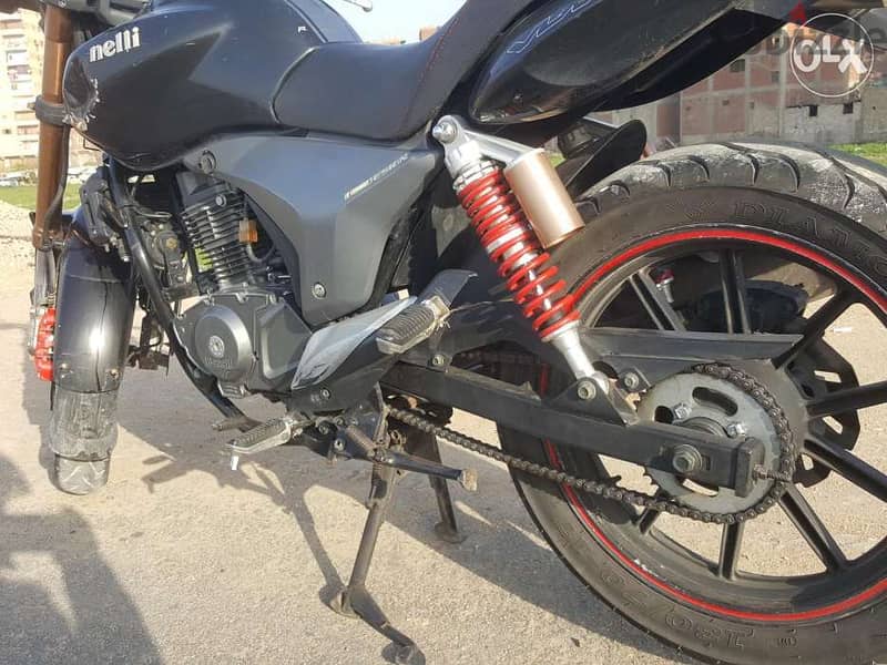 بينيلى  vlm 200 cc 5