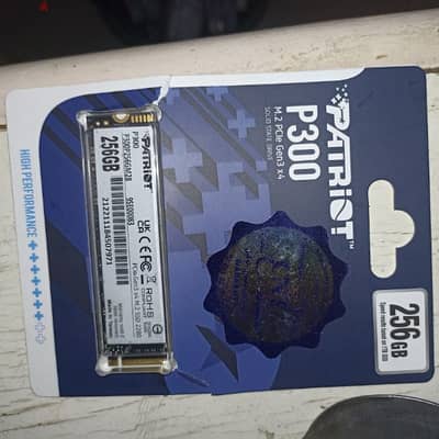 Patriot P300 M. 2 2280 256GB PCIe Gen3 x4 NVMe