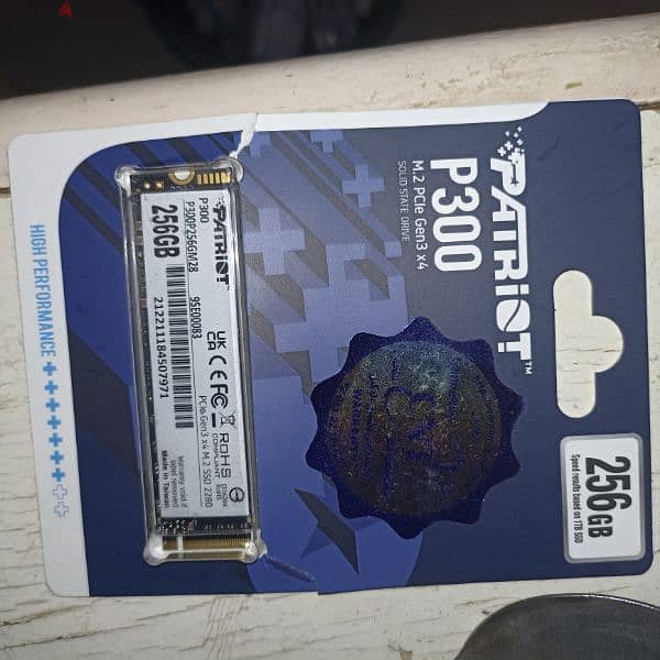 Patriot P300 M. 2 2280 256GB PCIe Gen3 x4 NVMe 0