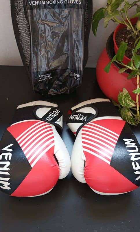 venum gloves 1