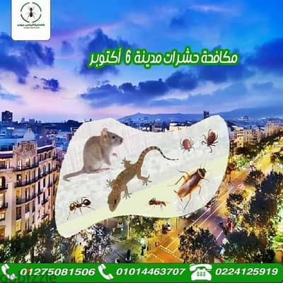 رش حشرات المنازل والجاردن والشركات والمصانع