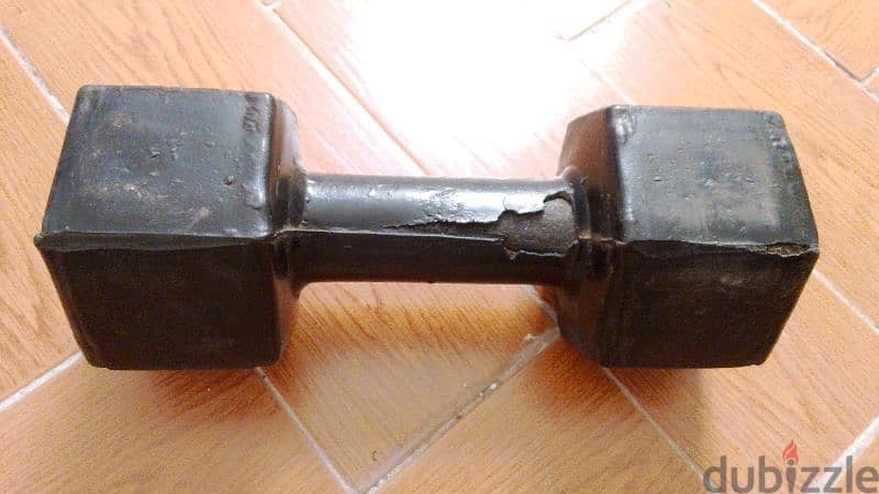 دمبل 9 كيلو مطاط فردة واحدة Dumbell 9 Kg rubber single piece 1