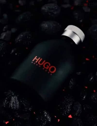 . Hugo