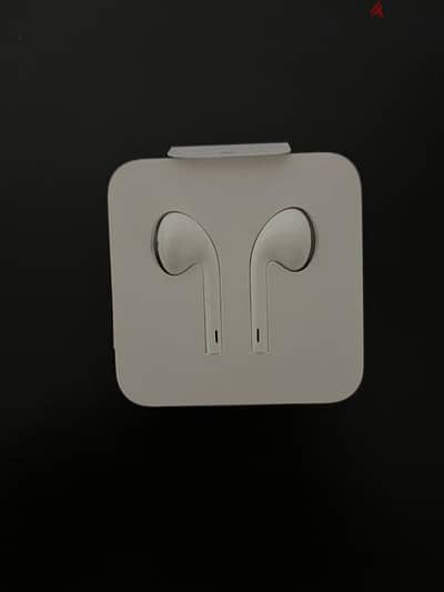 Apple Earpods with lightning cable& Dongle